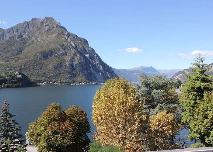 酒店 阿尔贝利酒店